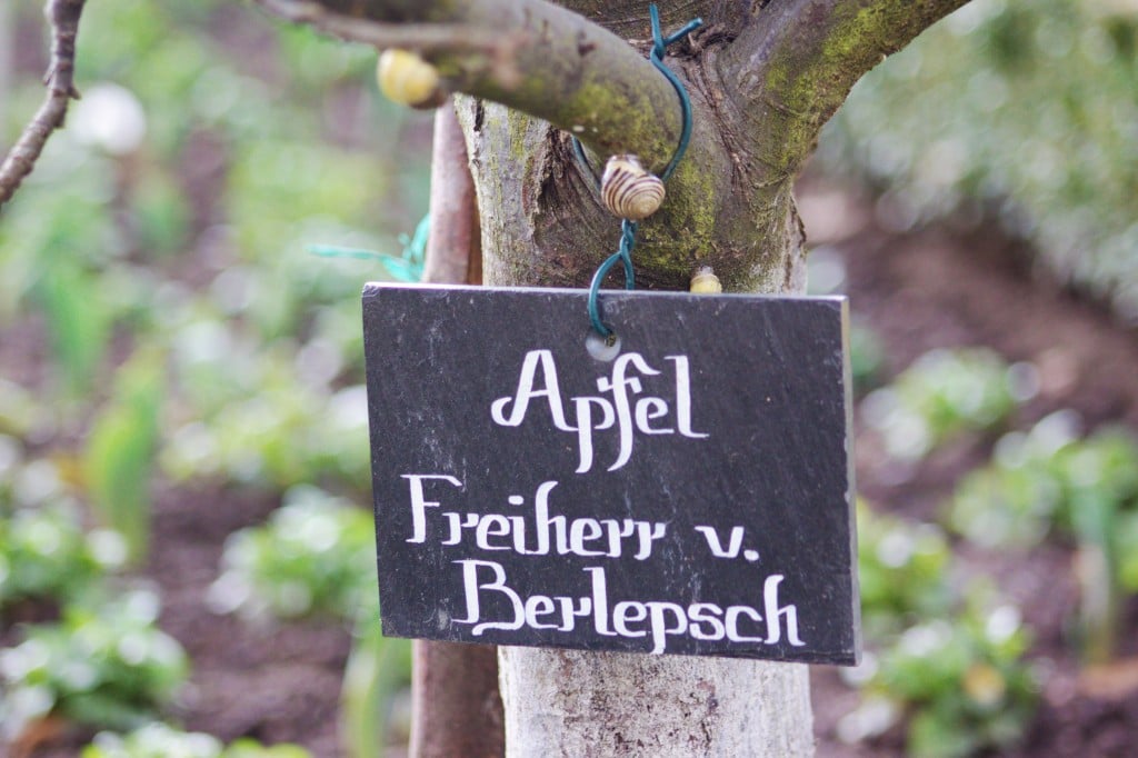 Seligenstadt - Schild an einem Apfelbaum