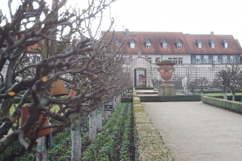 Seligenstadt - Blick durch den Klostergarten